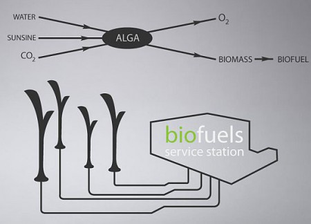 "En Hungría, el diseñador Peter Horvath dio a conocer su concepto Biolamp, a partir de biocombustible de alga"