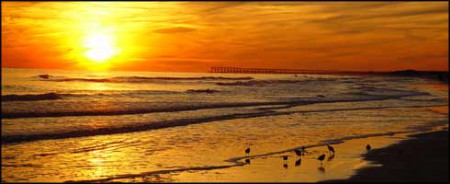 La Energía del sol que llega a la tierra en forma de fotones, puede ser convertida en energía o calor.